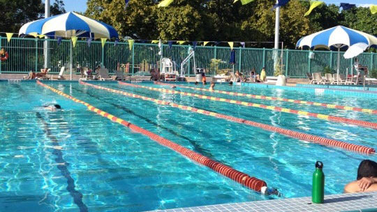 Flamingo Park Pool Miami Beach Florida